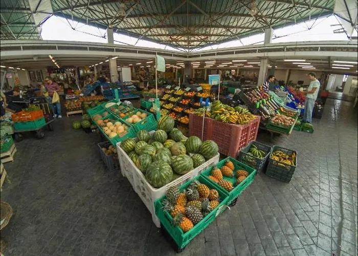 Lovely&charming Anita's * 蓬塔德尔加达