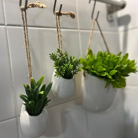 Lovely&charming Anita's Понта-Делгада