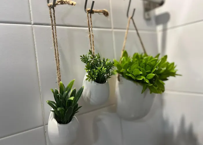 Lovely&charming Anita's Понта-Делгада