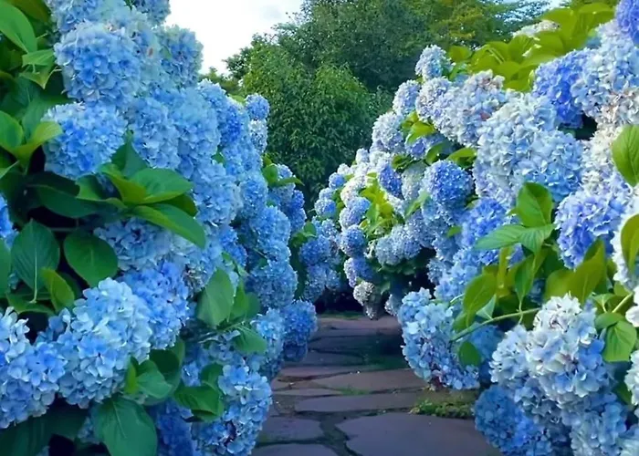 Lovely&charming Anita's