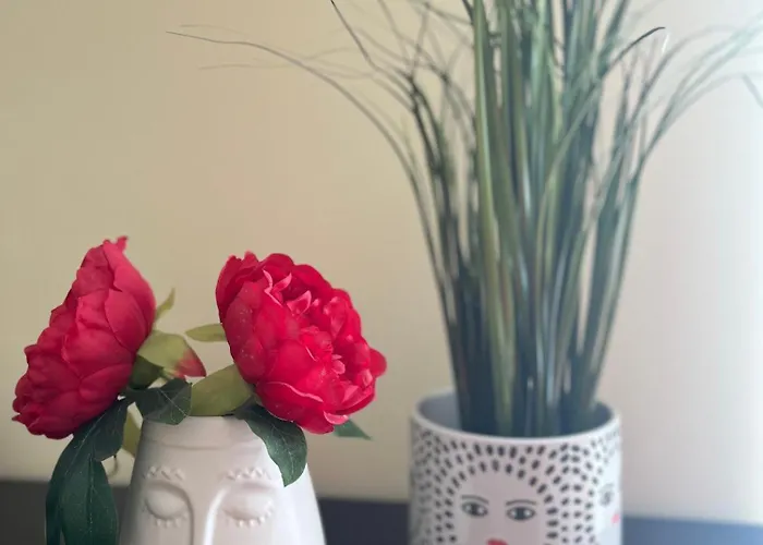 Lovely&charming Anita's Ponta Delgada